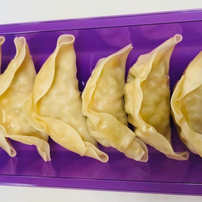 Dumplings Delight: Sushi, Ramen, and More
